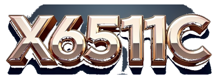 x6511c logo